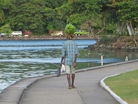 Walk from Cruise Terminal to Castries Town